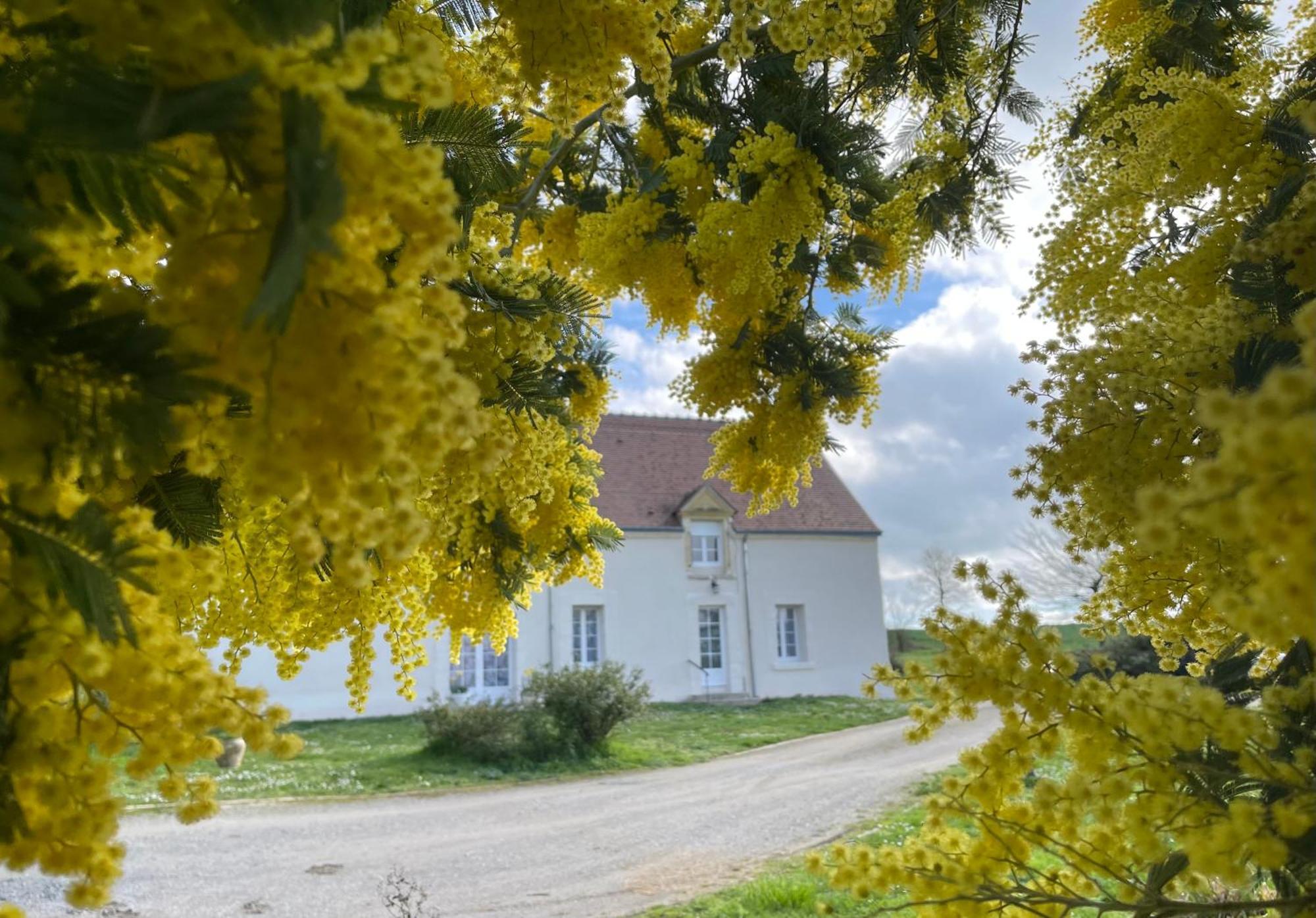 Willa Les Mimosas Gracay Zewnętrze zdjęcie